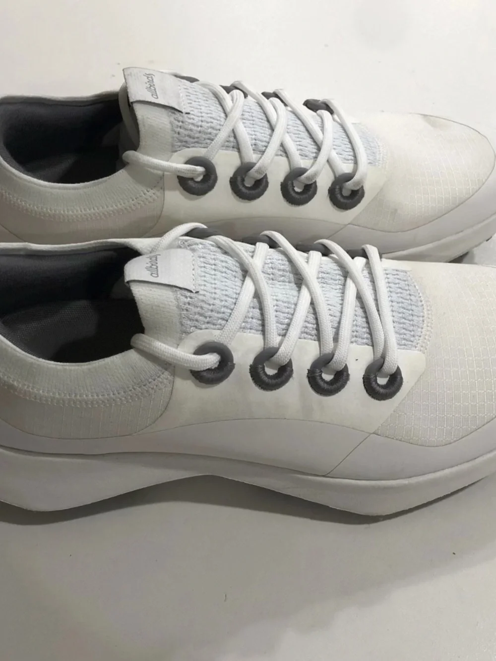 allbirds worn once